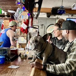 Open Bar - Best Dog