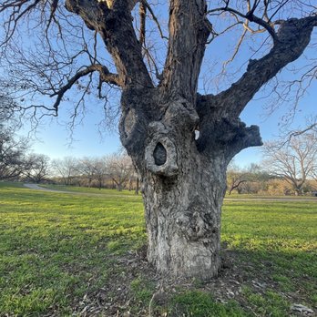 Camp Creek Recreation Area - Parks Near Me - Marble Falls, Texas Camp Creek Recreation Area - Parks Near Me - Marble Falls, Texas