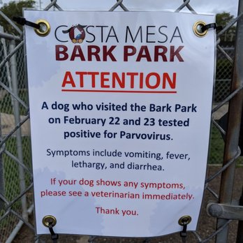 Costa Mesa Bark Park - Dog Parks Near Me - Costa Mesa, California Costa Mesa Bark Park - Dog Parks Near Me - Costa Mesa, California