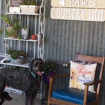 4 Paws Country Inn - Pet Boarding Near Me - Selma, California 4 Paws Country Inn - Pet Boarding Near Me - Selma, California