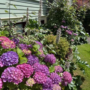 Sanchez Cleanscape Services - west side - Landscaping Near Me - Federal Way, Washington