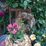 Photo of Blumen Loos