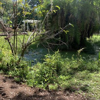 Eureka Springs Park - March 2020 - Parks Near Me - Tampa, Florida Eureka Springs Park - March 2020 - Parks Near Me - Tampa, Florida