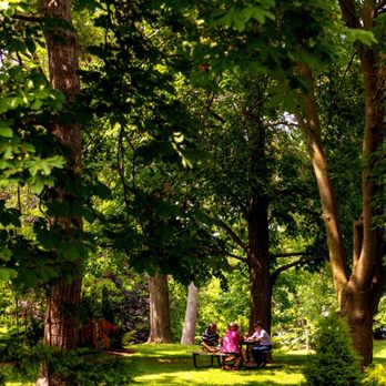 Simcoe Park - Good spot for a picnic - 6/18/2025 - Parks Near Me - Niagara-on-the-Lake, Ontario Simcoe Park - Good spot for a picnic - 6/18/2025 - Parks Near Me - Niagara-on-the-Lake, Ontario
