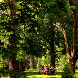 Simcoe Park - Good spot for a picnic - 6/18/2025