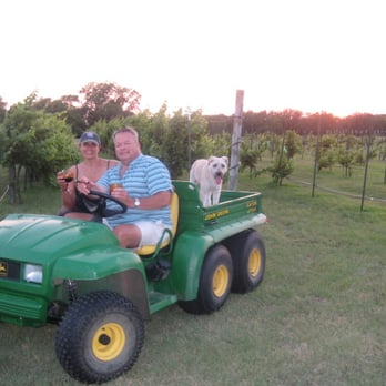Sazon Anita Vineyards B&B - Bed & Breakfast Near Me - Sherman, Texas Sazon Anita Vineyards B&B - Bed & Breakfast Near Me - Sherman, Texas