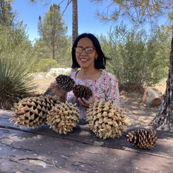 Horse Flats Campground