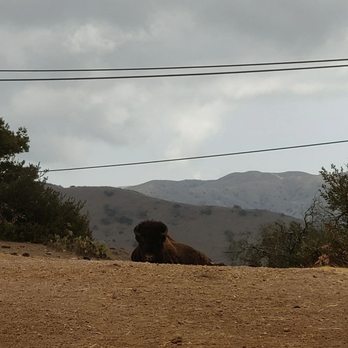 Catalina Expeditions - Tours Near Me - Avalon, California
