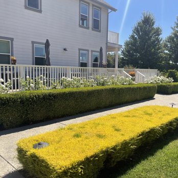 The Setting Inn - Manicured grounds - Hotels Near Me - Napa, California
