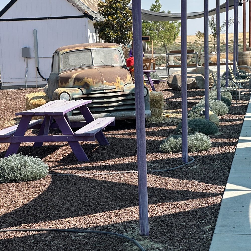 The Lavender Garden - Playground garden - Gift Shops Near Me - Lost Hills, California The Lavender Garden - Playground garden - Gift Shops Near Me - Lost Hills, California