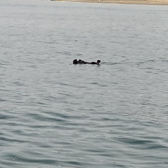 Sub Sea Tours - Rafting/Kayaking Near Me - Morro Bay, California Sub Sea Tours - Rafting/Kayaking Near Me - Morro Bay, California
