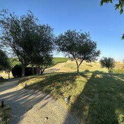 River Oaks Golf Course - Vineyard view