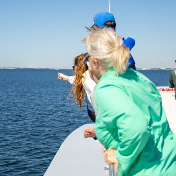 Premier Dolphin Cruise - Dolphin watch - Boating Near Me - Pensacola Beach, Florida Premier Dolphin Cruise - Dolphin watch - Boating Near Me - Pensacola Beach, Florida