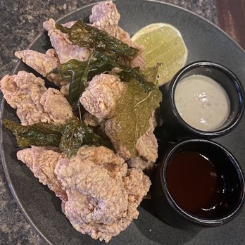 Zitz Sum - Karaage on HH - Asian Fusion Near Me - Coral Gables, Florida