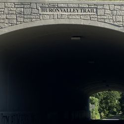 Huron Valley Trail - Trail forks