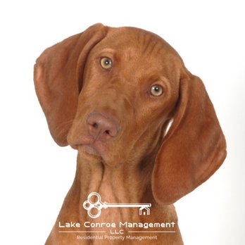 Lake Conroe Management - Property Management Near Me - Montgomery, Texas Lake Conroe Management - Property Management Near Me - Montgomery, Texas