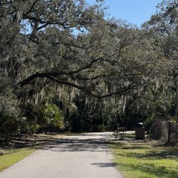 Brevard Zoo Linear Park - Trees with Spanish moss