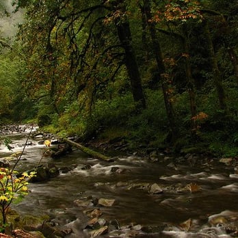 Wahclella Falls Hike - Tanner Creek - Hiking Near Me - Bonneville, Oregon Wahclella Falls Hike - Tanner Creek - Hiking Near Me - Bonneville, Oregon