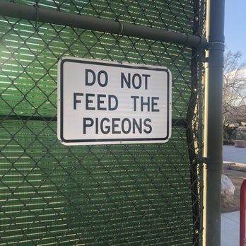 Bob Baskin Park - Parks Near Me - Las Vegas, Nevada
