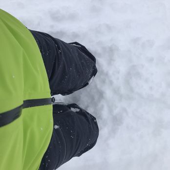 Alta Ski Area - Not a bad PowDah day - Ski Resorts Near Me - Alta, Utah
