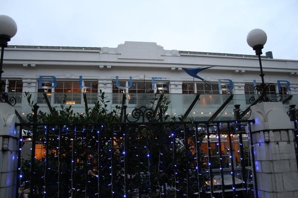 Bluebird Chelsea by null
