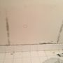 Mold Remediation and Water Restoration Pros