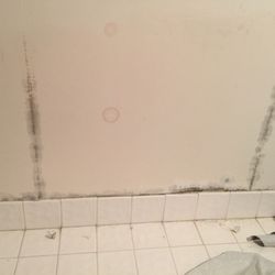 Mold Remediation and Water Restoration Pros - REmove wall and replace after disinfecting from leak in above unit.