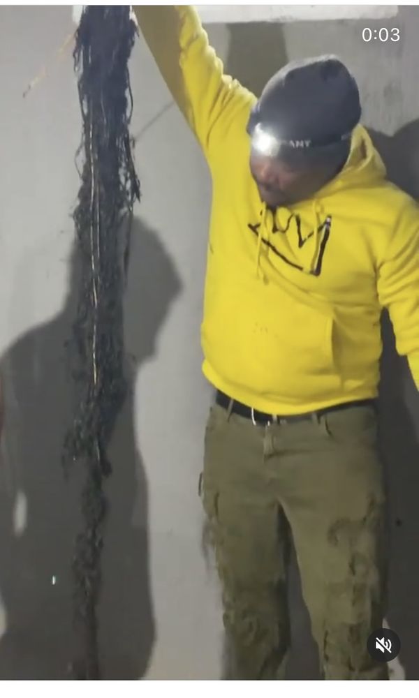 Slide of Dxd Services