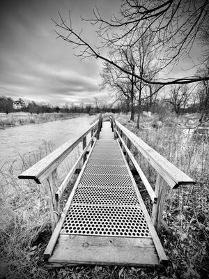 The Morton Arboretum by null
