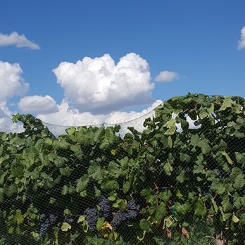 Invention Vineyards - Wine Tasting Room Near Me - Fredericksburg, Texas Invention Vineyards - Wine Tasting Room Near Me - Fredericksburg, Texas