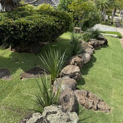 Pro Lawn & Landscape