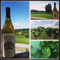 Ramulose Ridge Vineyards