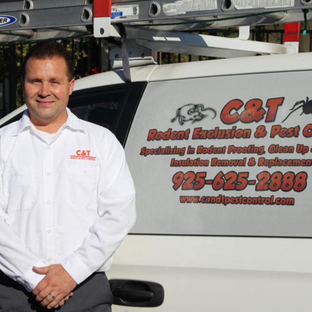 TOP 10 BEST Pest Control near Oakley, CA - Updated 2026 - Yelp
