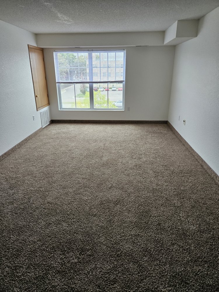 THE SERVANT’S TOUCH CLEANING SERVICES Updated June 2024 Lindstrom