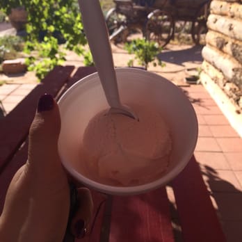 Fort Zion - Prickly pear and outside on the adorable patio - American Near Me - Virgin, Utah