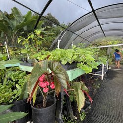 Tropical Edibles Nursery
