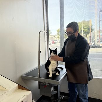 Ernesto's Mobile Pet Grooming - Pet Groomers Near Me Ernesto's Mobile Pet Grooming - Pet Groomers Near Me