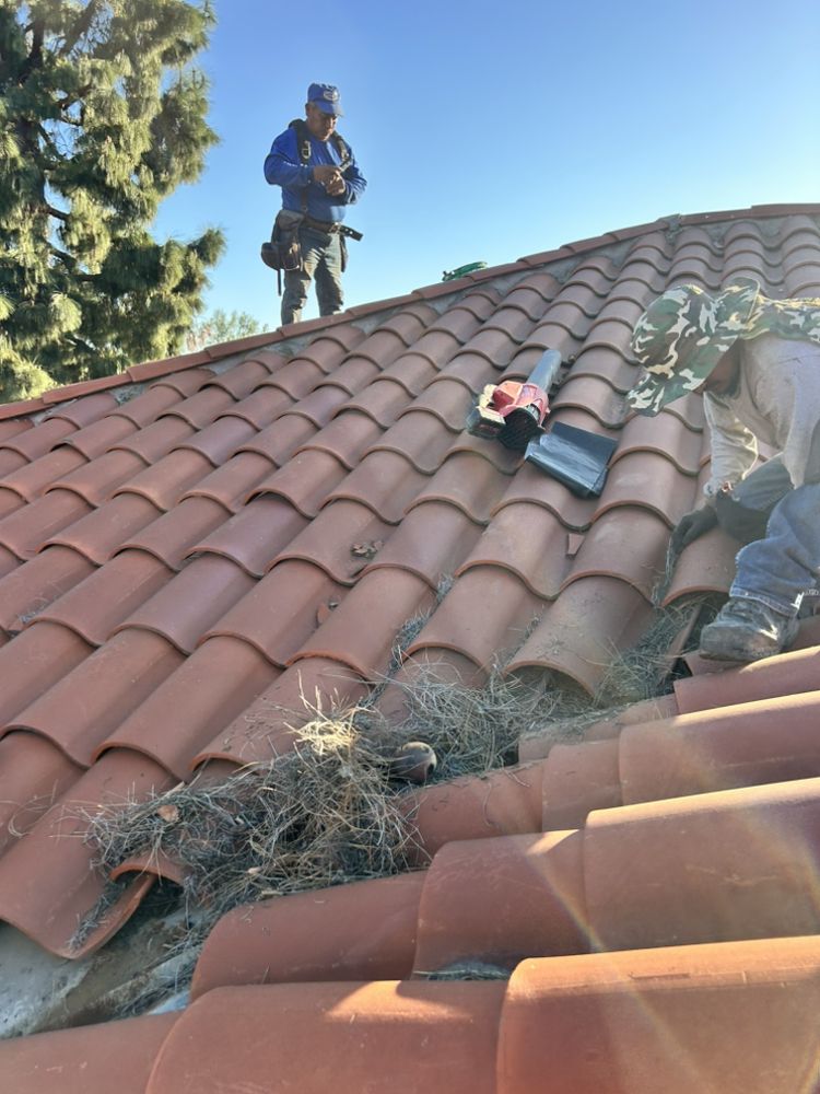 Slide of OC Roof Contractors