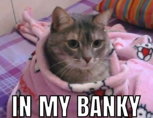 Rocky Mountain High School