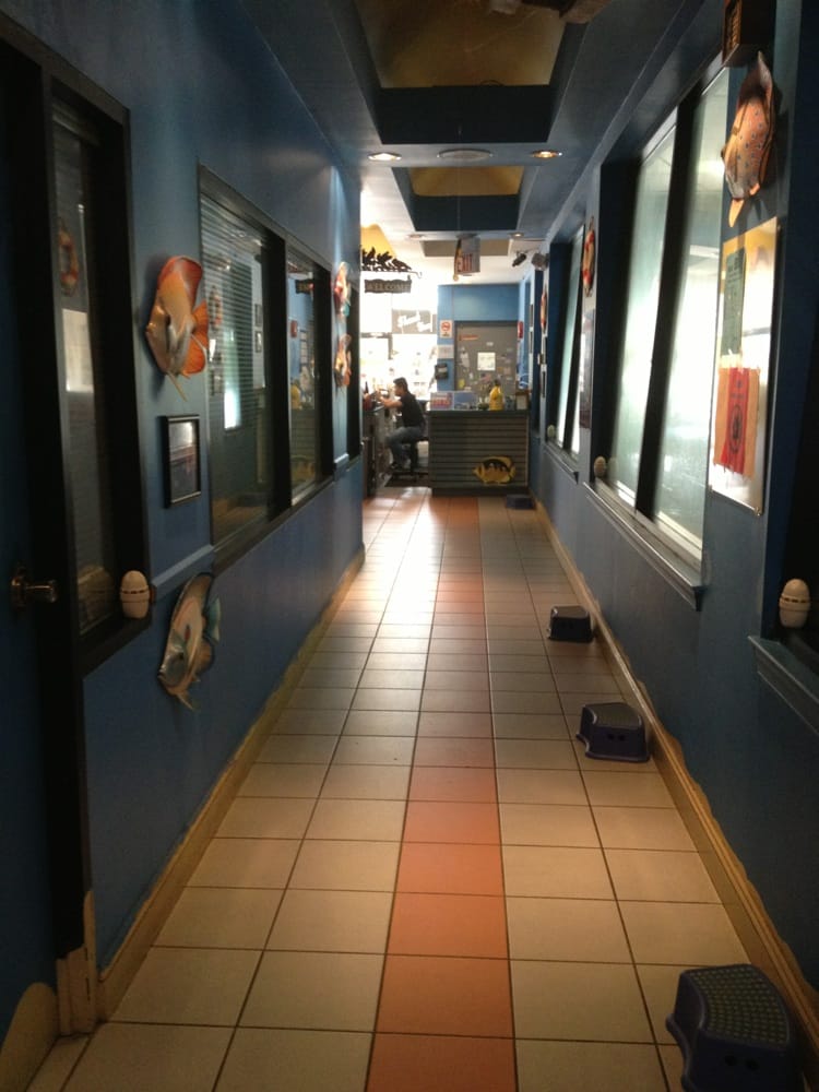 SWEETWATER SPLASH CAR WASH COMPANY CLOSED 23 Reviews