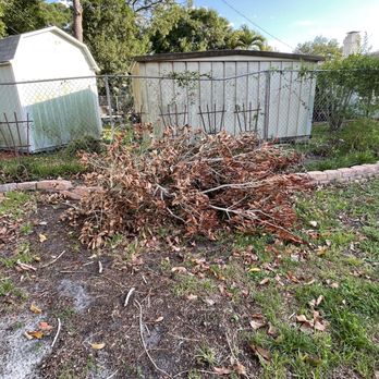 Mark Michaels Tree Service - Huge branch that blew down barely missing me. - Tree Services Near Me - St. Petersburg, Florida