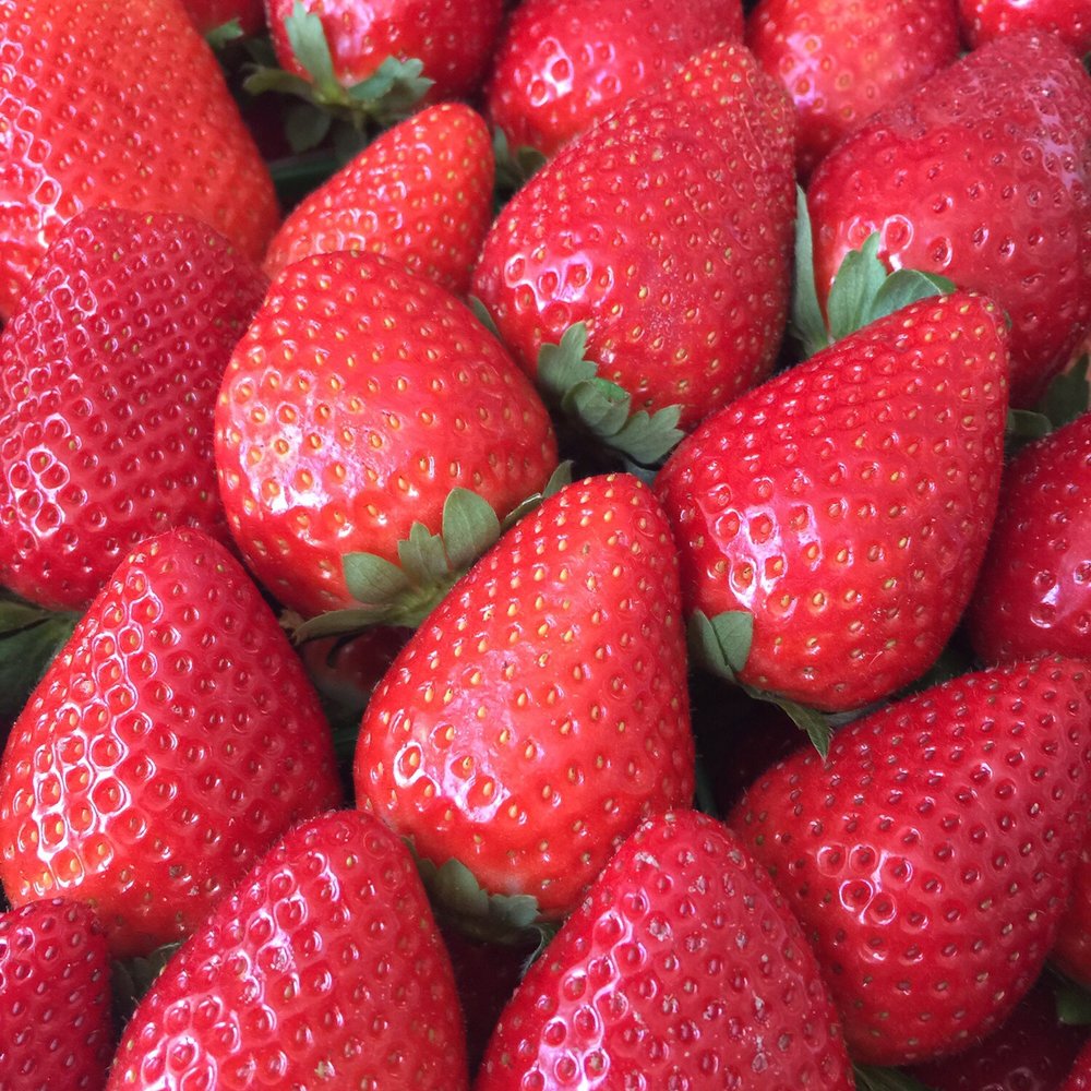 Young's Market - Berrylicious. - Fruits & Veggies Near Me - Vero Beach, Florida Young's Market - Berrylicious. - Fruits & Veggies Near Me - Vero Beach, Florida