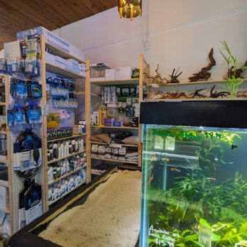 The Fish Barn - Aquarium Services Near Me - Orinda, California