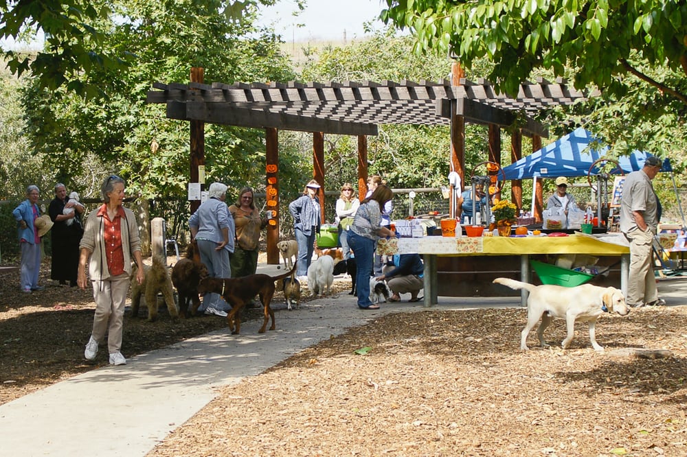 El Chorro Dog Park Logo