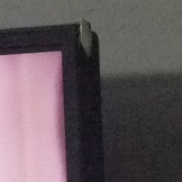 This weird white bug was crawling on the TV. There were no open windows, so I'm not sure how it got into the room. So gross! This weird white bug was crawling on the TV. There were no open windows, so I'm not sure how it got into the room. So gross!