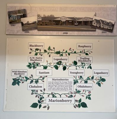 The Berry Patch Restaurant by null