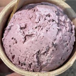 Moo's Gourmet Ice Cream - Ice Cream scoop for Frank B