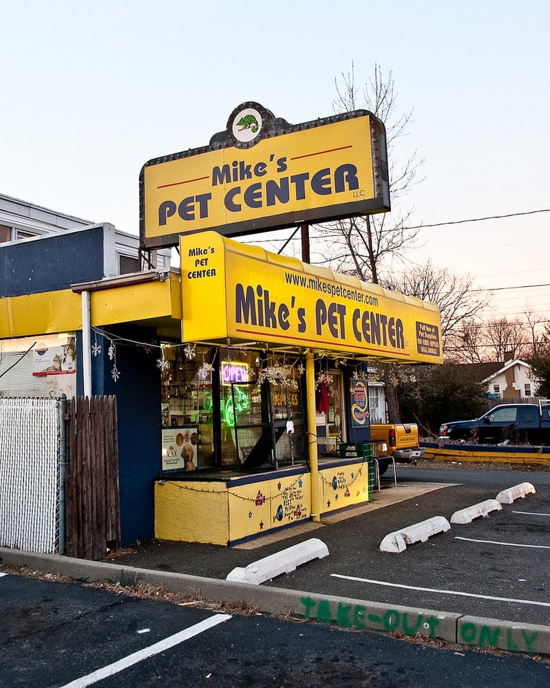 MIKE’S PET CENTER Updated October 2024 133 State Route 35 S, Neptune, New Jersey Pet