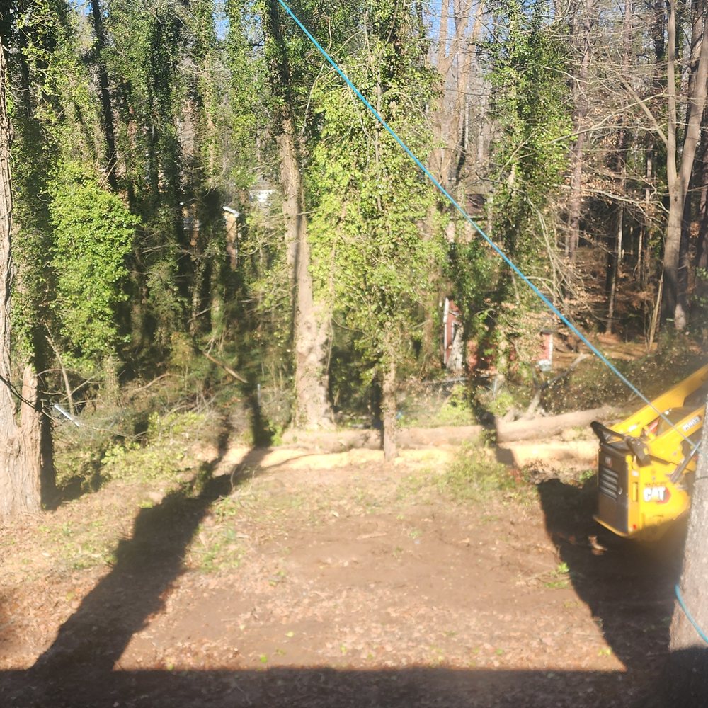 Santana Tree Services - fence before they dropped the trees on it - Tree Services Near Me