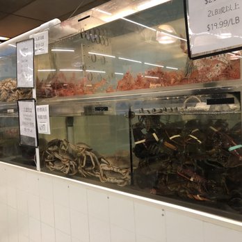 King's Seafood Distributors Company - a display of lobsters - Seafood Markets Near Me - Calgary, Alberta King's Seafood Distributors Company - a display of lobsters - Seafood Markets Near Me - Calgary, Alberta